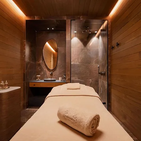 公寓 Luxe Avec Et Navette A 1850 - Fr-1-830-1