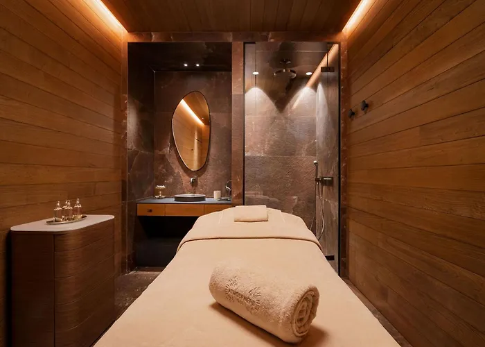 Lejlighed Luxe Avec Et Navette A 1850 - Fr-1-830-1